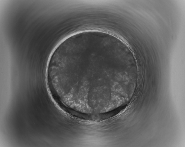 X0000095531536200801111403