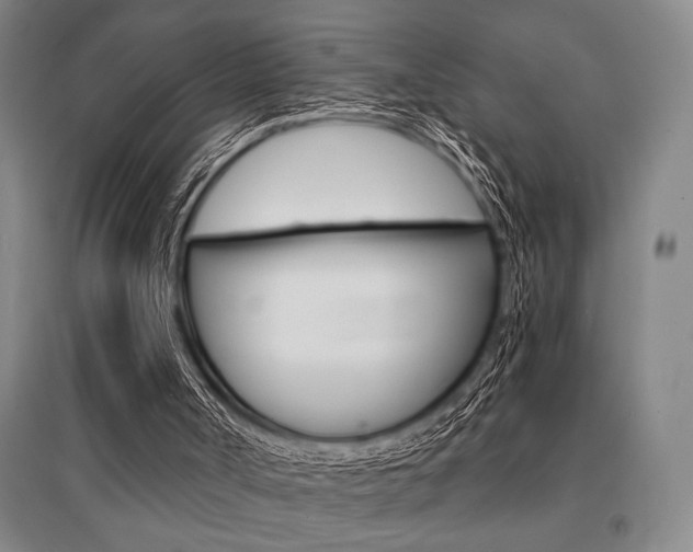 X0000095540002200712141034