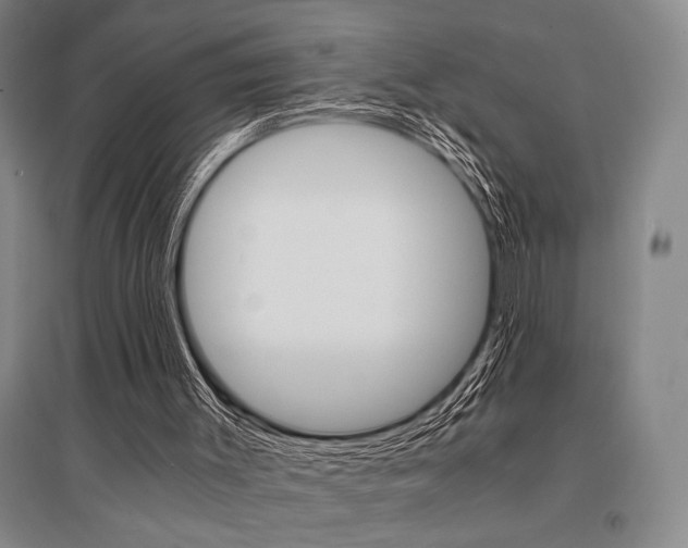 X0000095540003200712141034