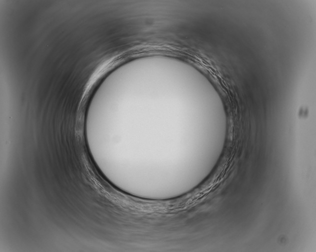 X0000095540004200712141034