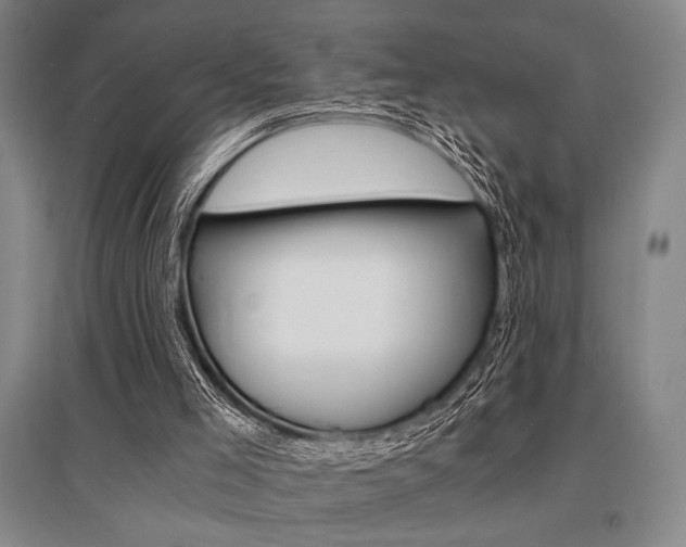 X0000095540005200712141034