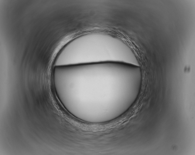 X0000095540006200712141034
