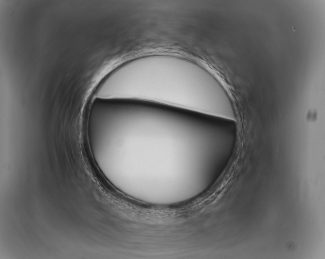 X0000095540008200712141034
