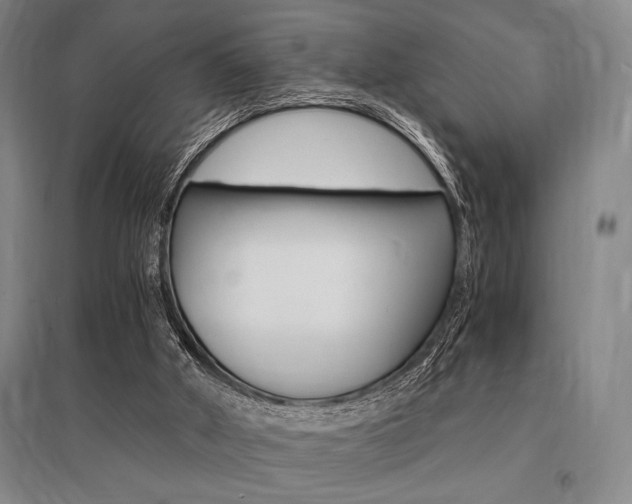 X0000095540010200712141034
