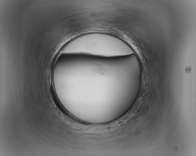X0000095540011200712141034