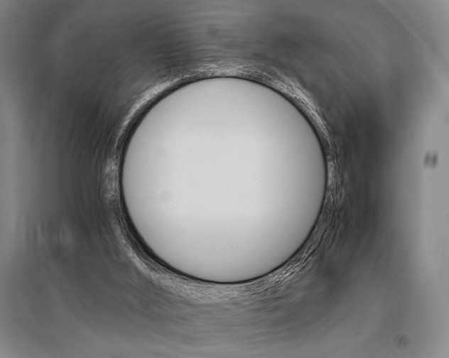 X0000095540012200712141034