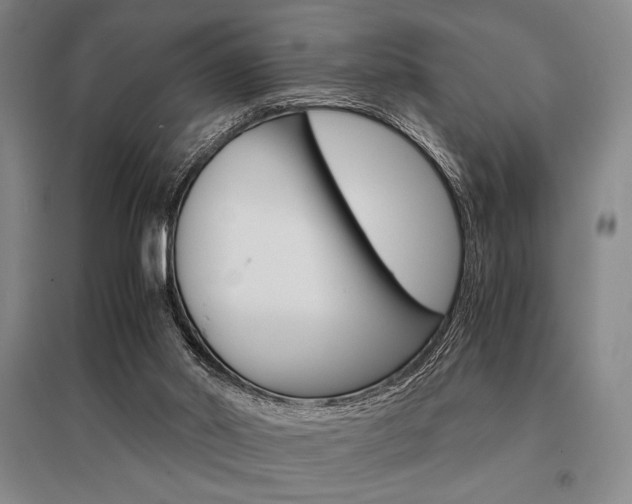 X0000095540014200712141034