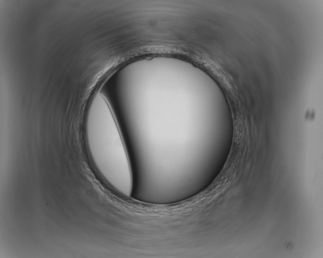 X0000095540015200712141034