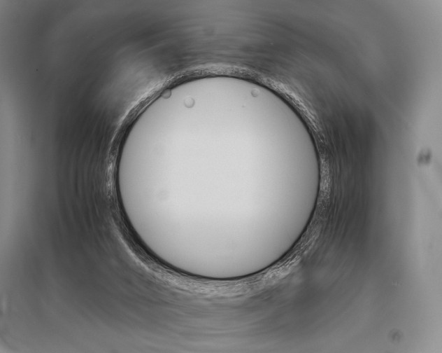 X0000095540016200712141034