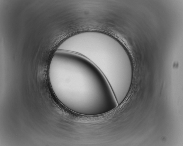 X0000095540017200712141034