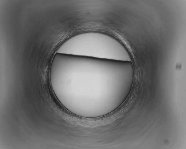 X0000095540018200712141034
