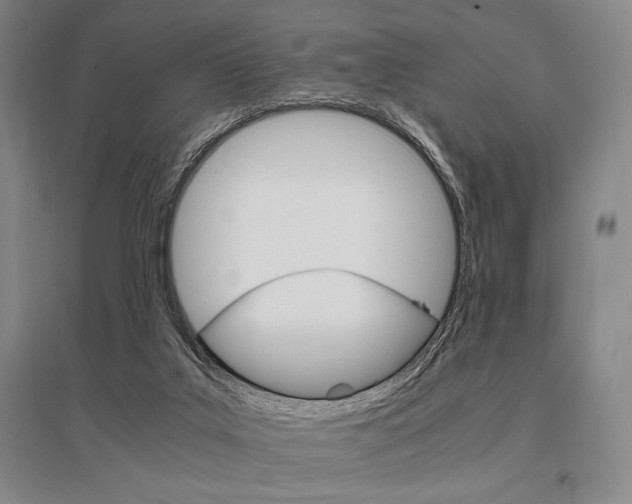 X0000095540019200712141034