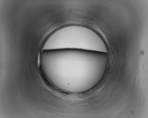 X0000095540020200712141034