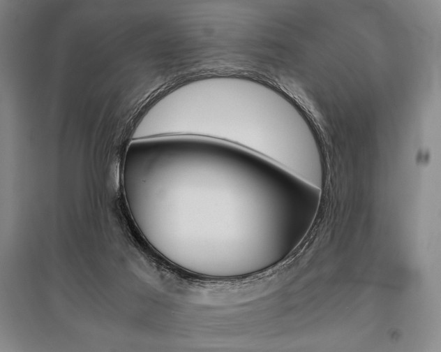 X0000095540021200712141034