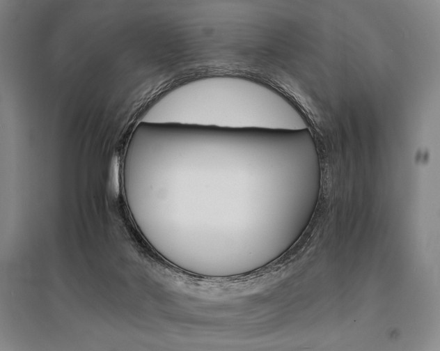 X0000095540022200712141033