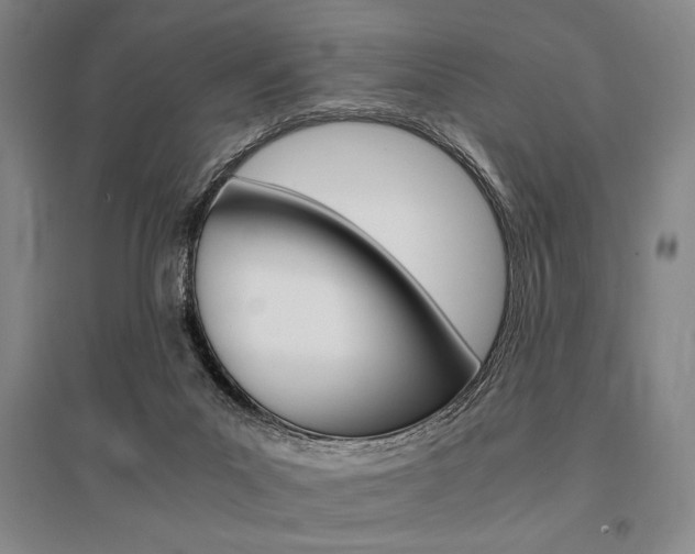 X0000095540023200712141033