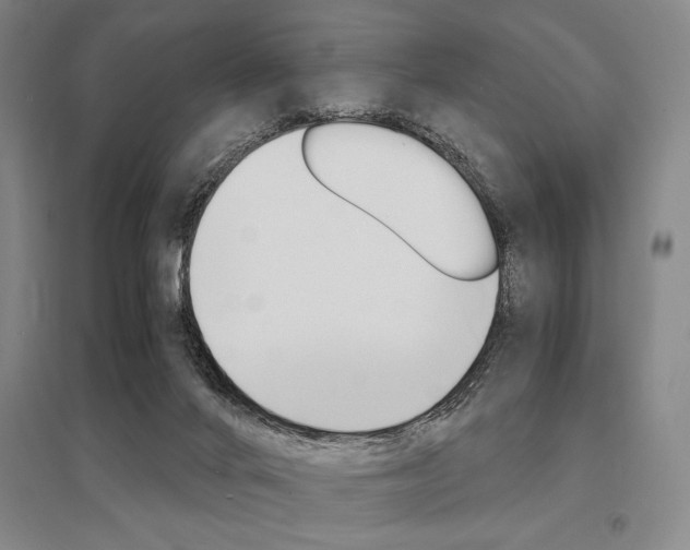 X0000095540024200712141033