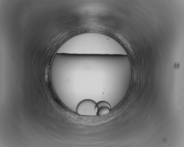 X0000095540026200712141033