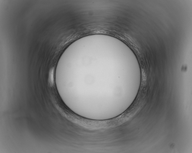 X0000095540028200712141033