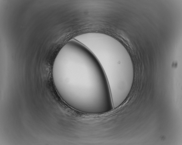 X0000095540029200712141033