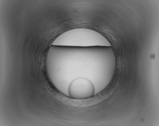 X0000095540030200712141033