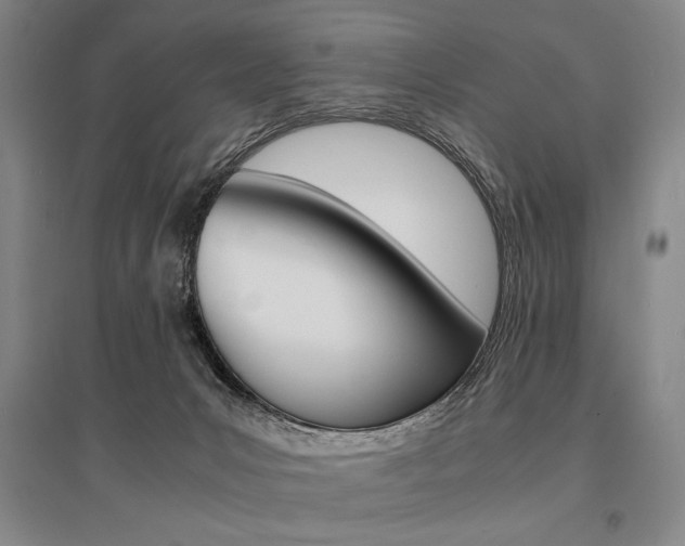 X0000095540031200712141033