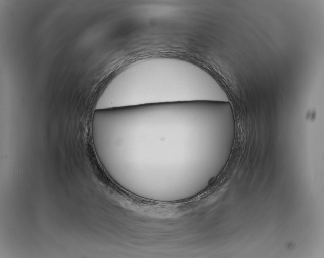 X0000095540032200712141033