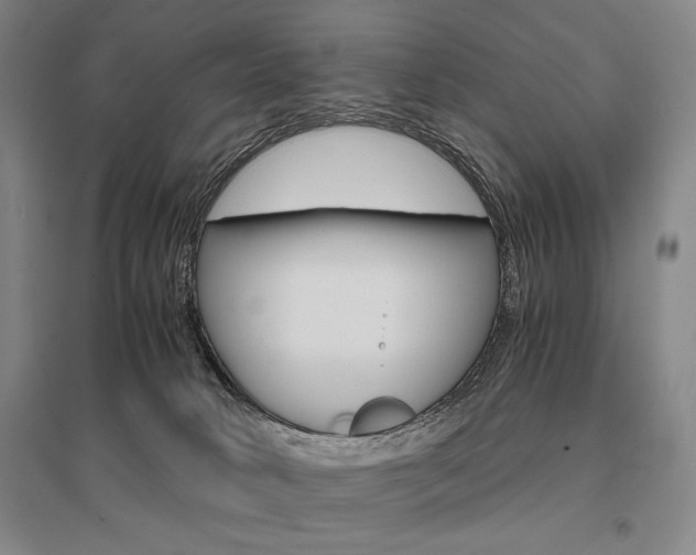 X0000095540034200712141033