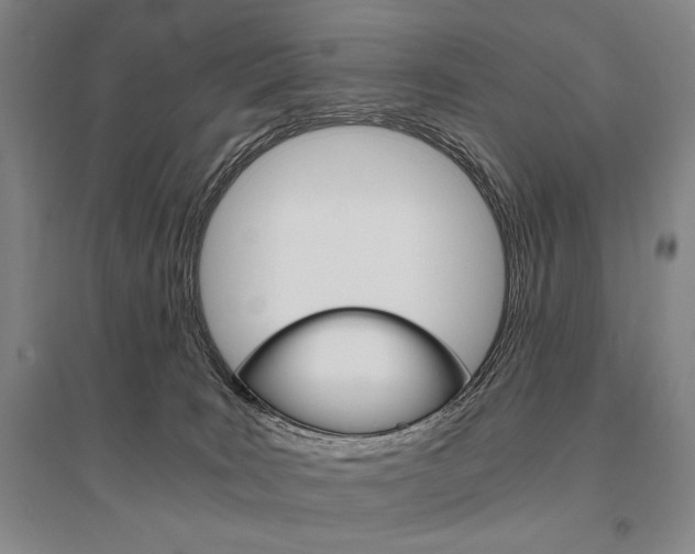 X0000095540035200712141033