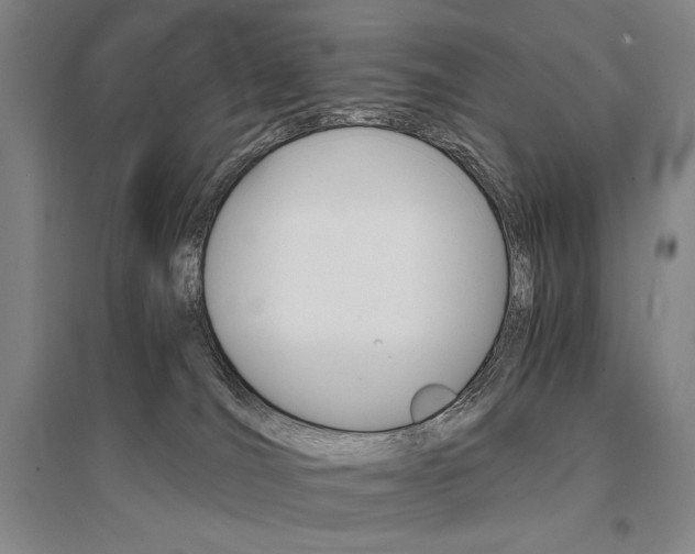 X0000095540036200712141033
