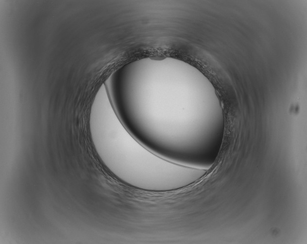 X0000095540037200712141033