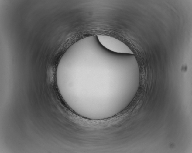 X0000095540038200712141033