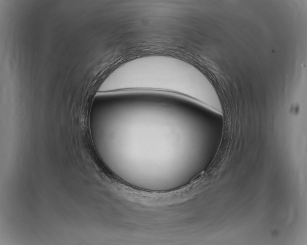X0000095540039200712141033