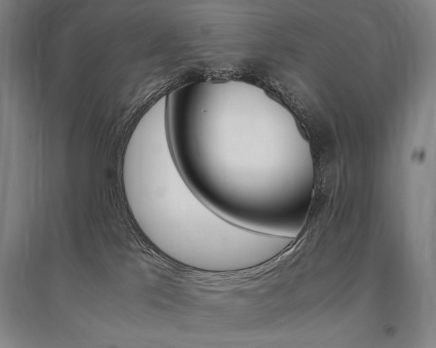 X0000095540041200712141033