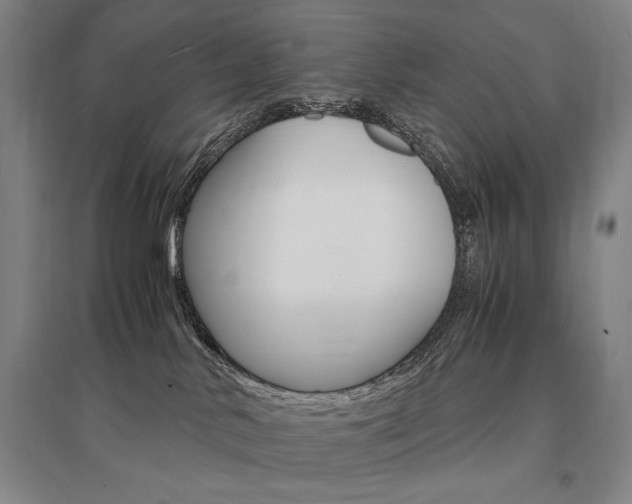 X0000095540042200712141033