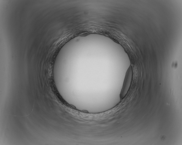 X0000095540043200712141033