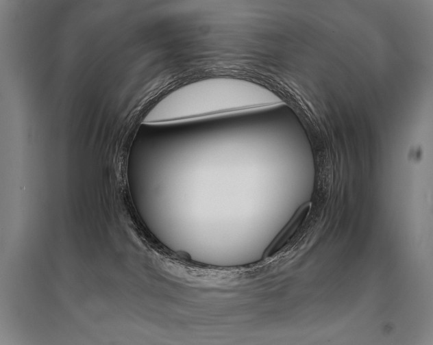 X0000095540044200712141033