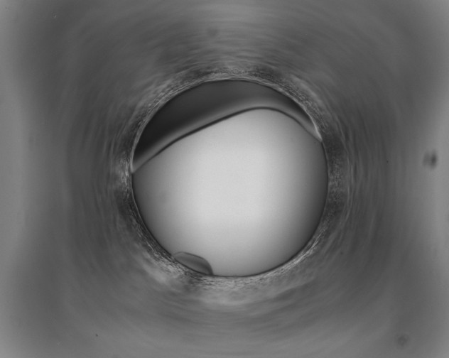 X0000095540045200712141033