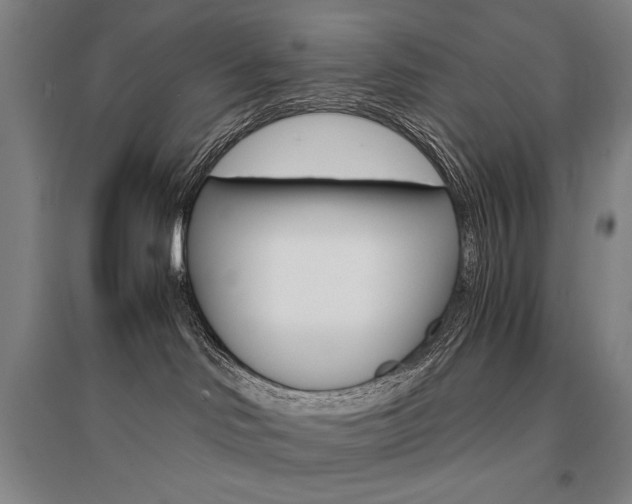 X0000095540046200712141033