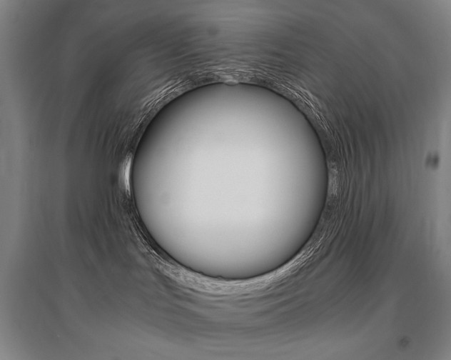 X0000095540047200712141033