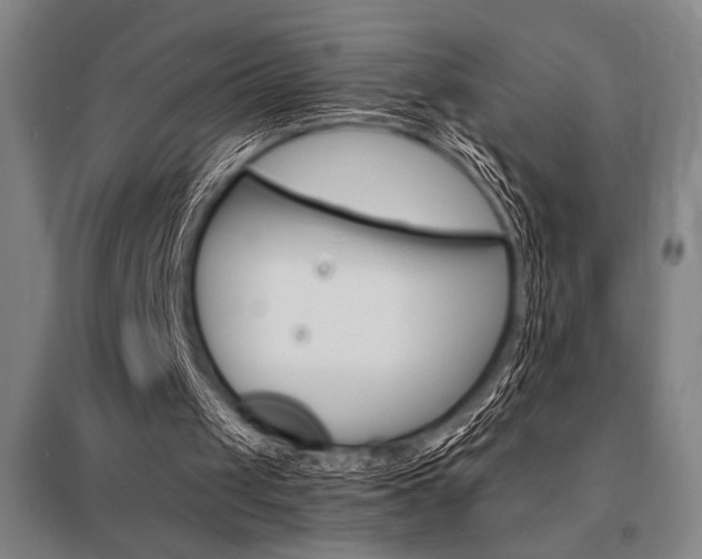 X0000095540049200712141032