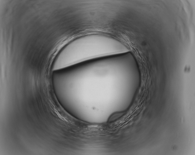 X0000095540050200712141032