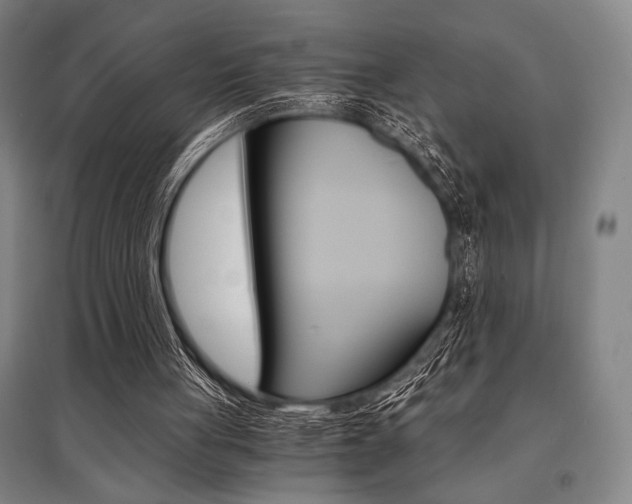 X0000095540051200712141033