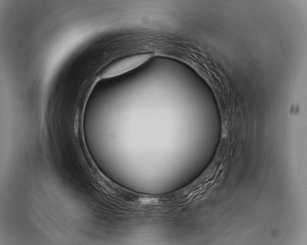 X0000095540052200712141033