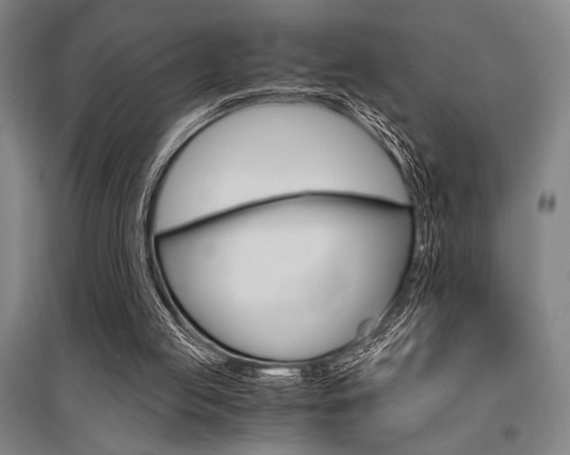 X0000095540053200712141033