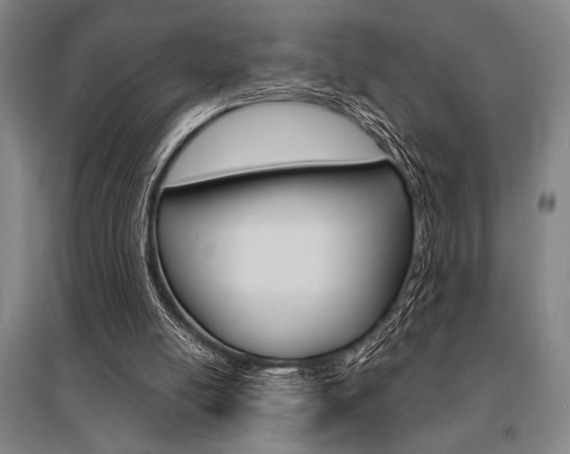X0000095540054200712141033