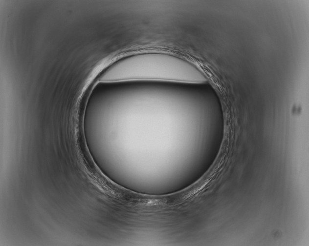 X0000095540056200712141033