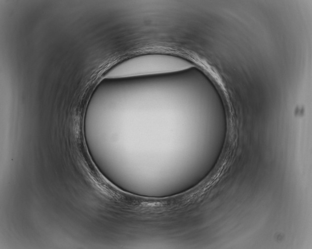 X0000095540057200712141033