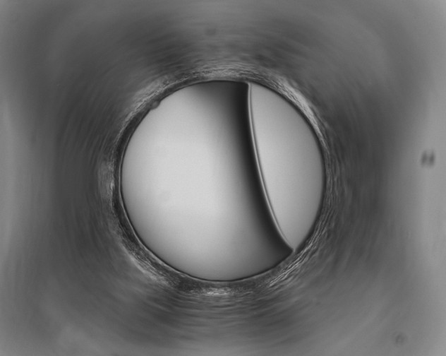 X0000095540059200712141033