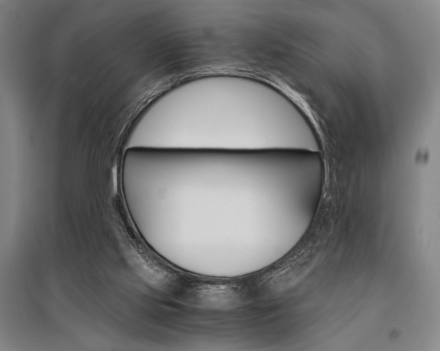 X0000095540061200712141033